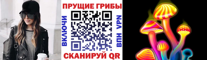 где можно купить   Цивильск  Галлюциногенные грибы мицелий 